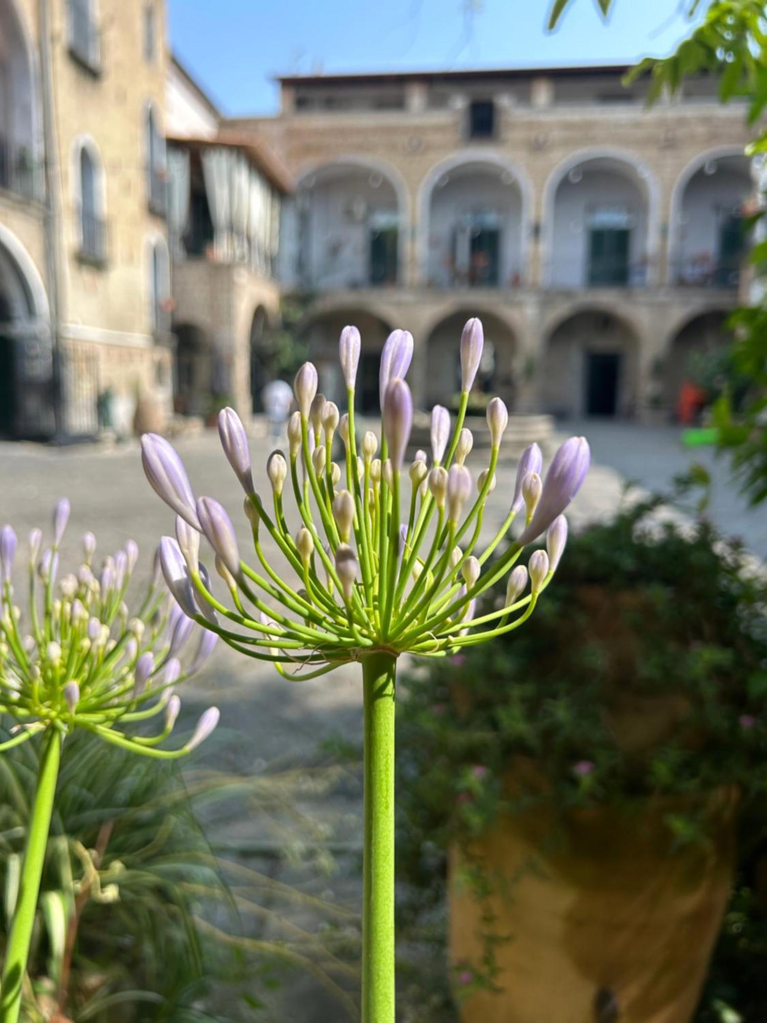 Palazzo Capece Apartamento Caivano Exterior foto